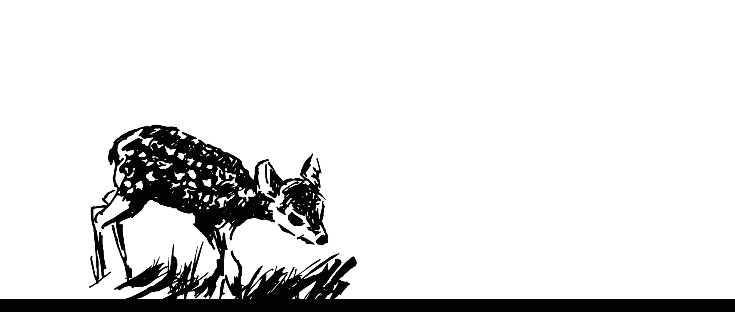 20231013_Rohr_Header_Bambi.png